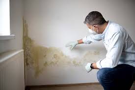 Best Comprehensive Air Testing for Mold Contaminants in Bellaire, TX